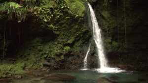 Программа гражданства Доминики за инвестиции: руководство на 2026 год 3 Программа гражданства Доминики за инвестиции: руководство на 2026 год