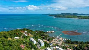 شهروندی دومینیکا از طریق برنامه سرمایه گذاری: راهنمای 2026 1 شهروندی دومینیکا از طریق برنامه سرمایه گذاری: راهنمای 2026